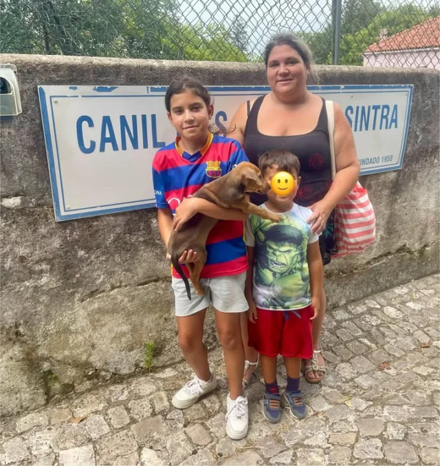 A Sara foi adotada 🩷
#finaisfelizesapca
