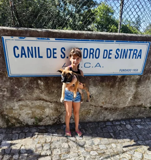 A Mariza foi adotada 🩷
#finaisfelizesapca