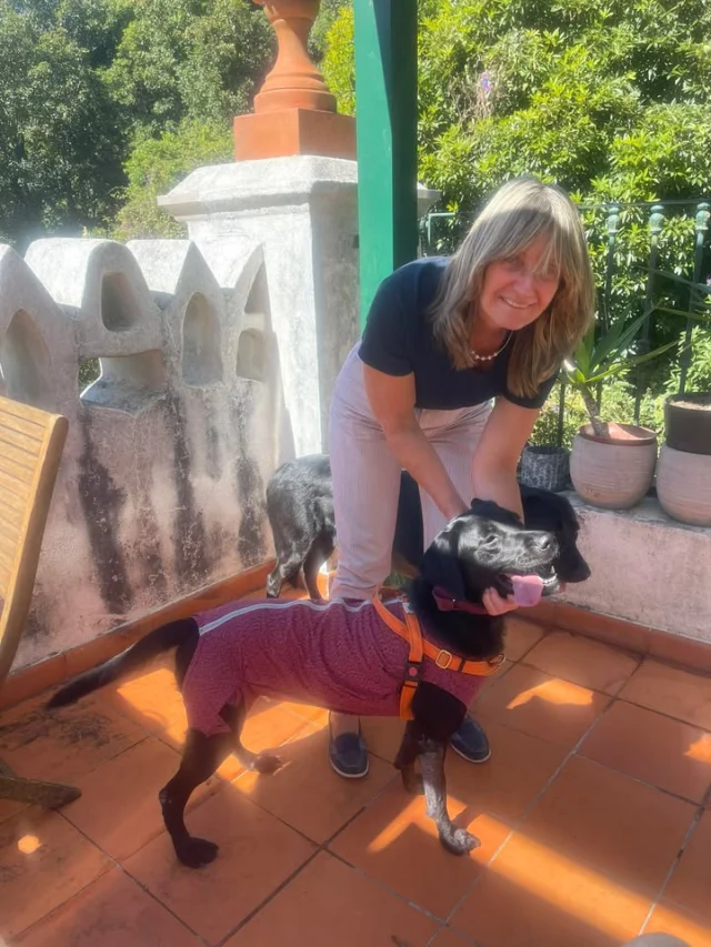 A Molly foi adotada ❤️
#finaisfelizesapca