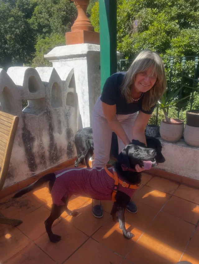 A Molly foi adotada ❤️ #finaisfelizesapca