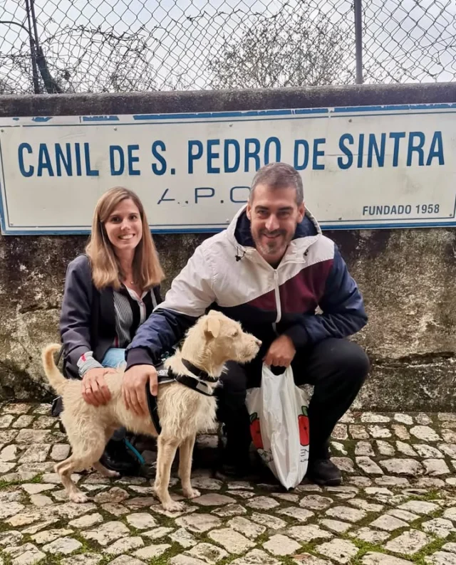 O Rock foi adotado ❤️
#finaisfelizesapca