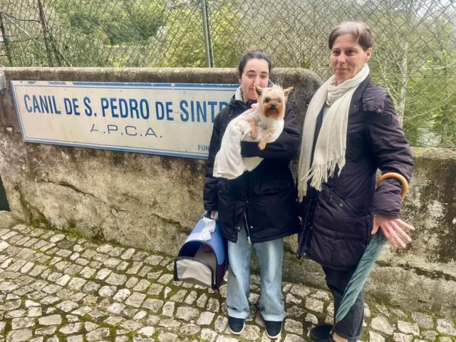 A Issis foi adotada🩷
#finaisfelizesapca