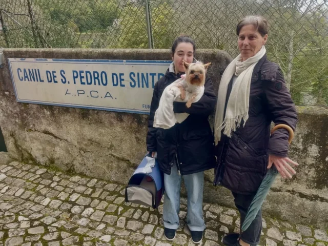 A Issis foi adotada 🩷 #finaisfelizesapca