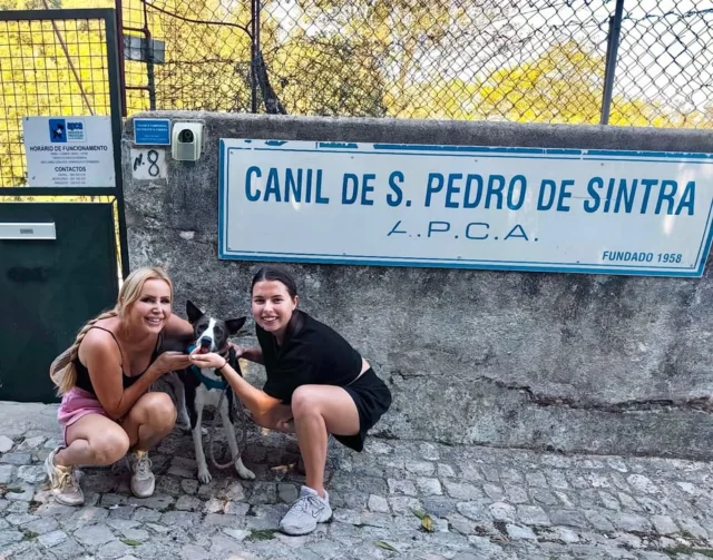 O Figo foi adotado💙
#finaisfelizesapca
