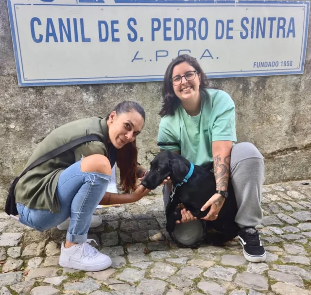 O Johnny foi adotado 💙
#finaisfelizesapca
